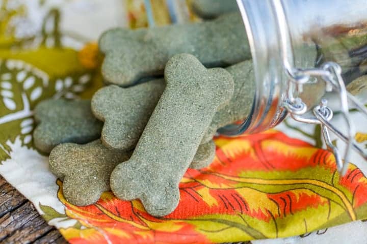 Breath-Freshening Dog Treats | 17 Healthy Homemade Pet Food Recipes And Treats
